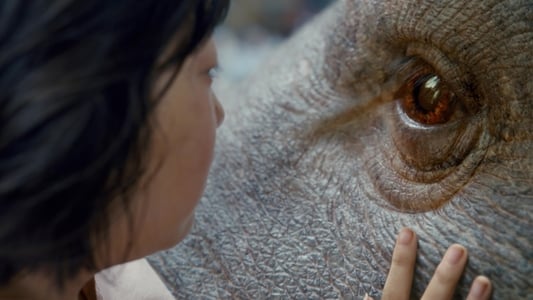 Okja - Imagen 15