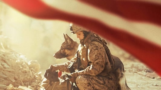 Megan Leavey - Imagen 11