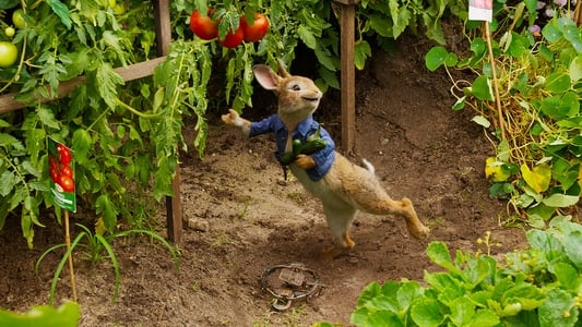 Peter Rabbit - Imagen 19